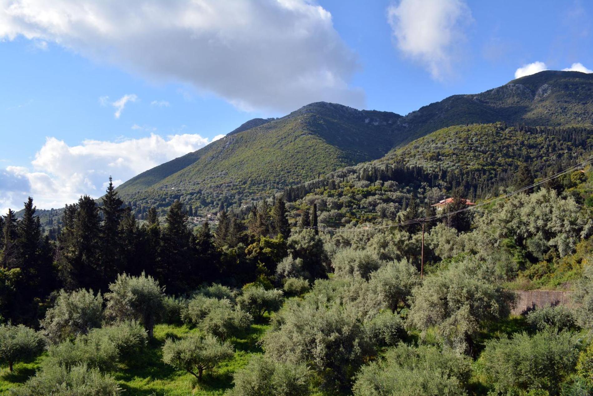 Villa Diana نِكيانا المظهر الخارجي الصورة
