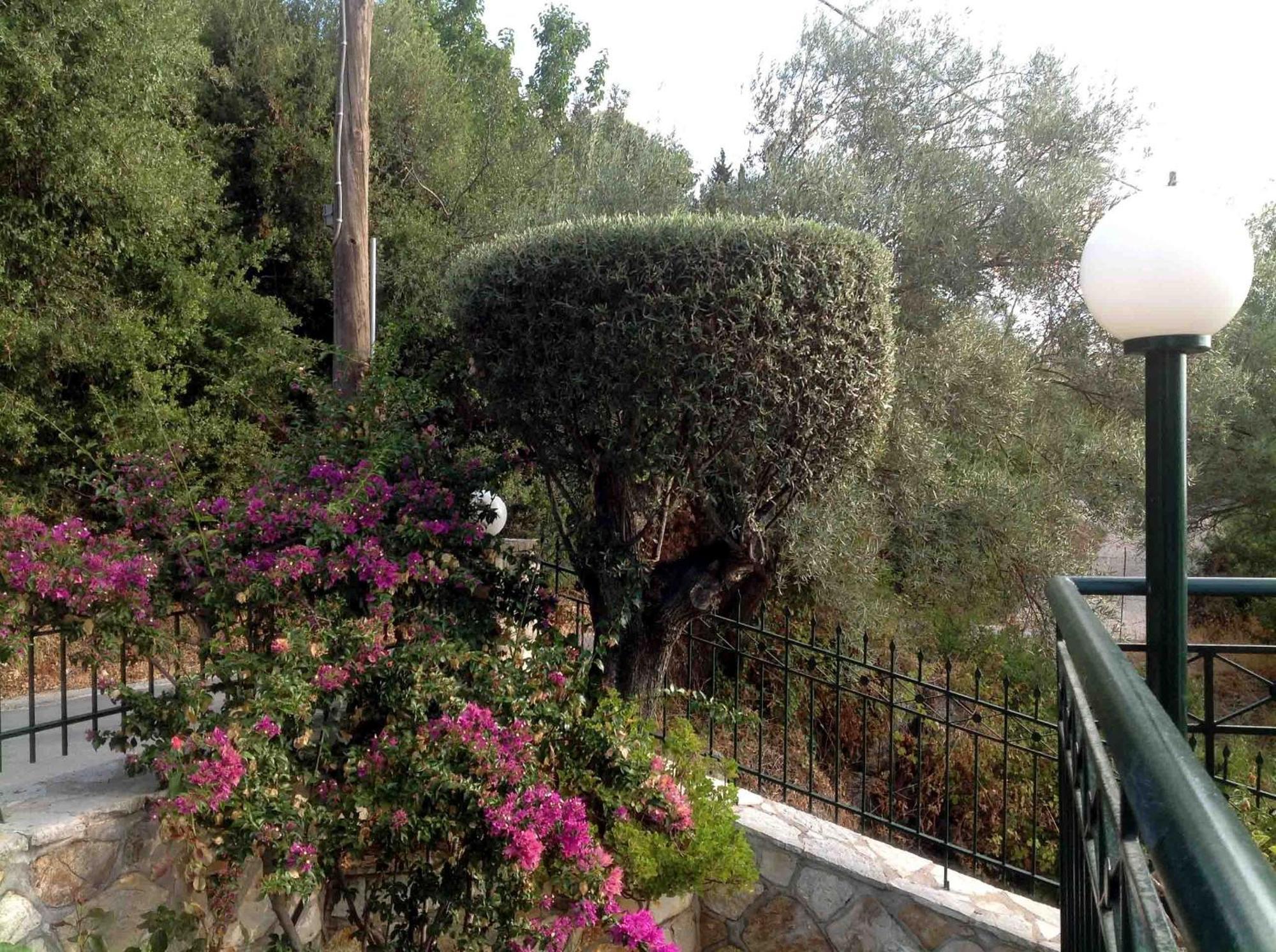 Villa Diana نِكيانا المظهر الخارجي الصورة